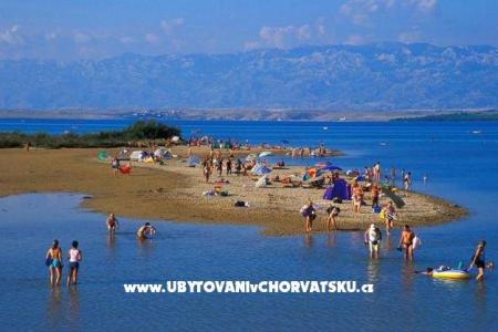 Apartmanok Pekić fotó 2