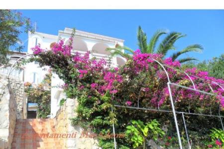 Apartman-hotel MacAdams fotó 3