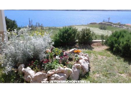 Apartmanok Ante fotó 5