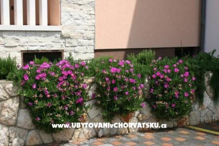 Apartmanok Grga fotó 5
