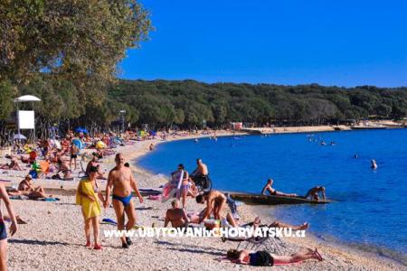 Apartmanok Milka  - island Pag fotó 2