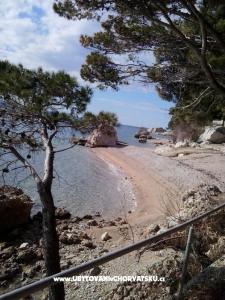 Apartman Danica fotó 4