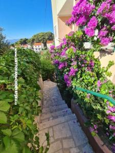 Apartmanok Miro, Duće fotó 5
