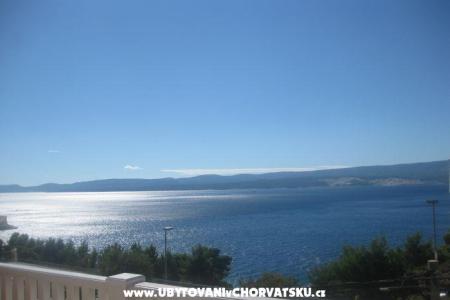 Apartmanok Villa Roza fotó 2