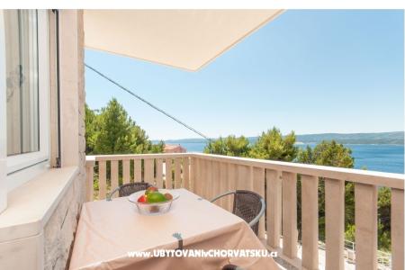 Apartmanok Villa Vesna Celina fotó 2