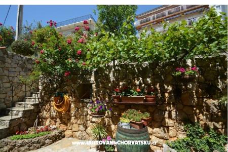 Apartman Vesela  fotó 2