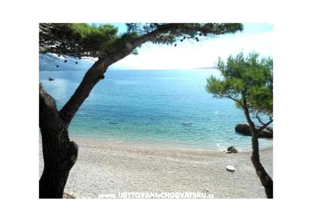 Apartmanok Punta fotó 5