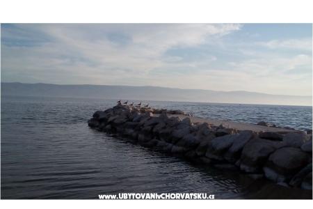 Apartman Cvita fotó 3