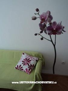 Vila Danica fotó 2