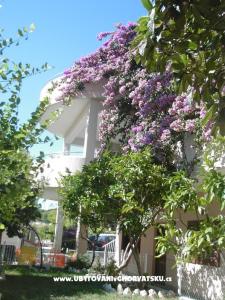Villa Marko, Stanići fotó 3