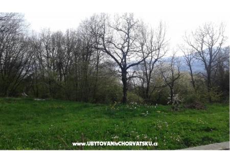 Apartman AS ROYAL fotó 4