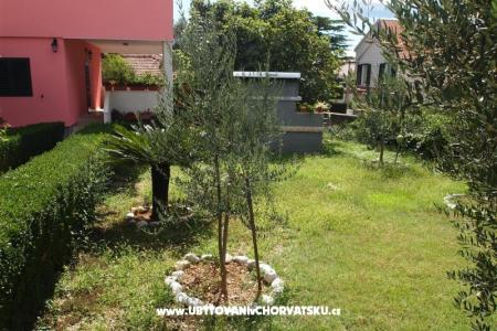 Apartman Nike fotó 4