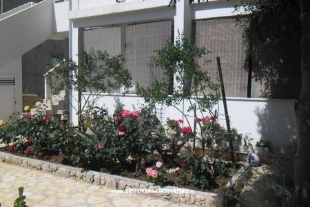 Apartmanok Marija fotó 4