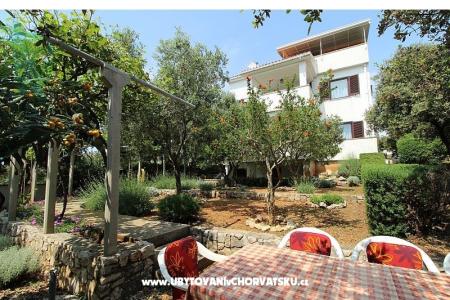 Apartmanok Salvia island Pag Mandre fotó 2