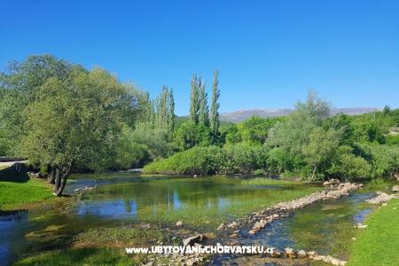 Apartmanok Tomic fotó 3
