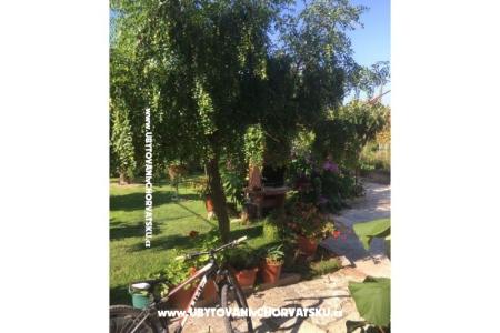 Apartmanok Jasa  fotó 5