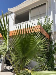 Apartmanok Ksenija fotó 3
