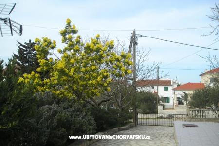 Apartmanok Mario fotó 5