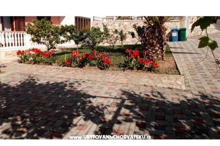Apartmanok Leo fotó 4
