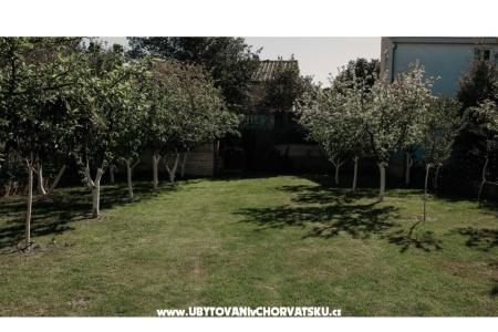 Apartmanok Ivišić fotó 5