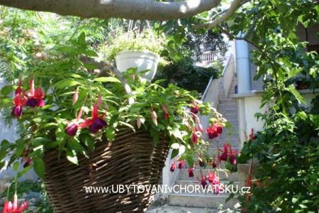 Apartmanok Sokalo-Petar fotó 4