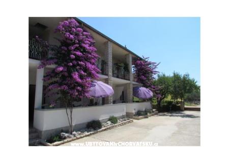 Apartmanok Pipi fotó 3