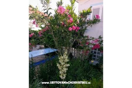Apartmanok Marija-Tkon fotó 3
