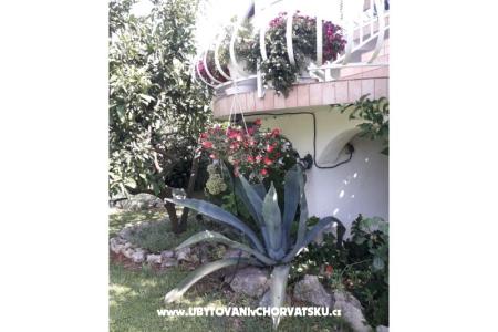 Apartmanok Lokva fotó 4