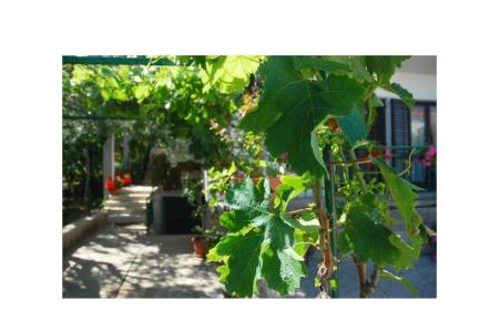 Apartmanok Danica fotó 3