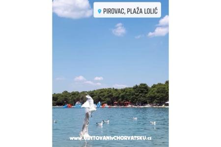 Villa Stefa Pirovac  fotó 2
