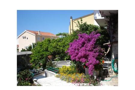 Apartmanok - Minka i Vite Podgora Horvátország