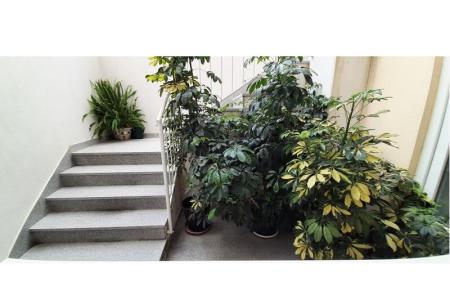 Apartmanok Mila fotó 4