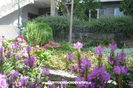 Apartmanok Draga fotó 3