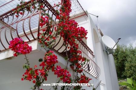 Apartman Vito fotó 2