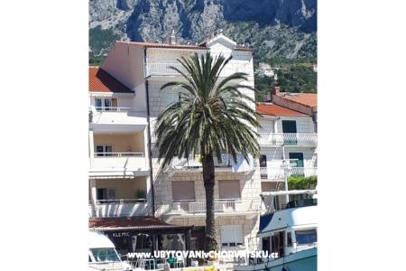 Palm tree apartman fotó 4