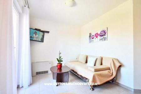 Apartmanok Bonsai fotó 2