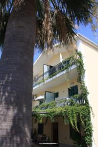Apartmanok Nera fotó 5