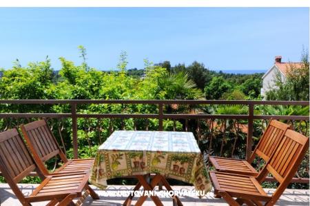 Apartman Dragica fotó 4