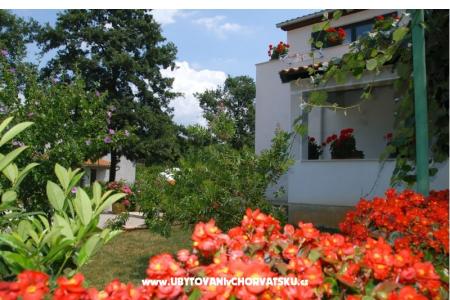 Apartmanok Bauk fotó 3