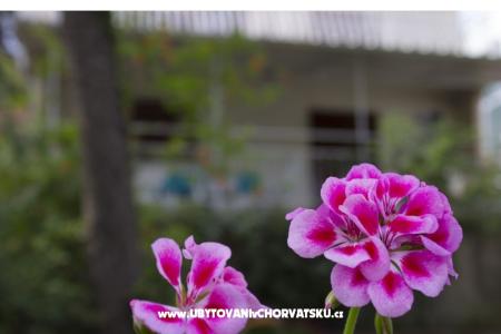 Apartmanok Porat - PRIMOŠTEN fotó 2