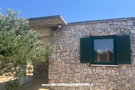 Olive grove fotó 2