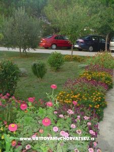 Apartmanok Mare & Berto fotó 2