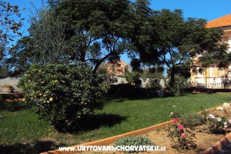 Apartmanok Barbara fotó 2
