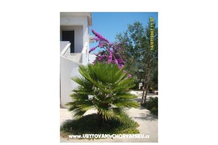 Apartmanok Šime fotó 5