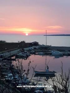 Studio Apartman Terezija fotó 5