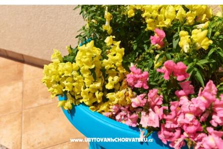 Apartman Sandra fotó 5