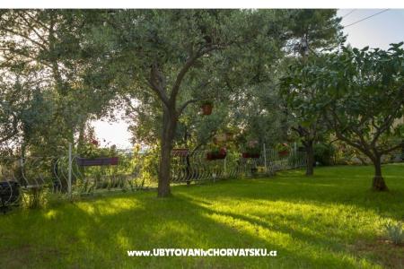 Apartman Petra fotó 5