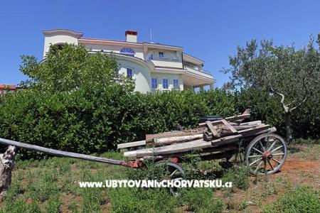 Villa Noela fotó 2