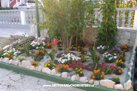 Apartmanok Ancy fotó 3