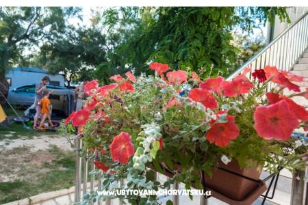 Apartmanok Puntica fotó 3
